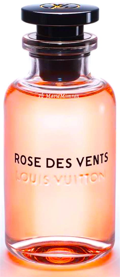 rose des vents louis vuitton harga